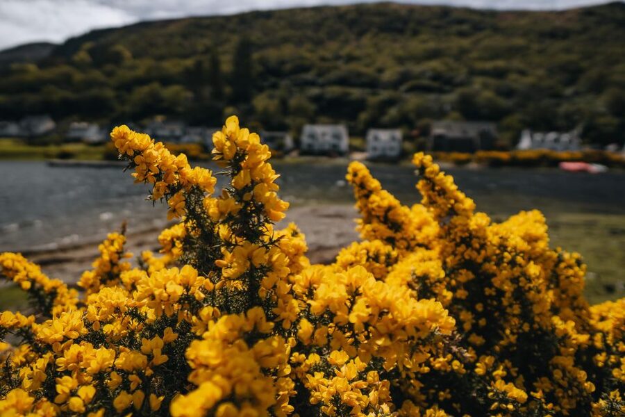 From Glasgow: A Day on the Isle of Arran with Admission - A guide-led view of Arran