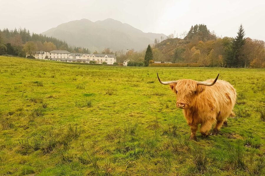 From Glasgow: Loch Lomond, Trossachs & Stirling Castle Tour - Is the $71 starting price good value?