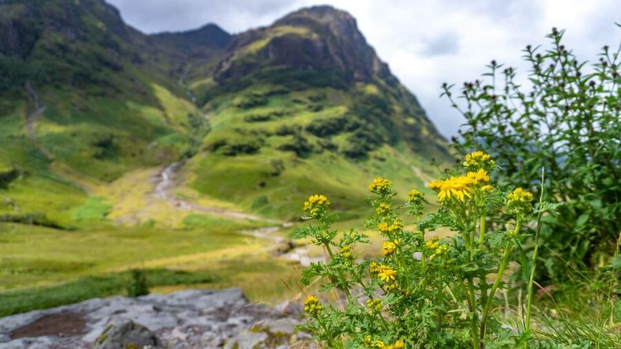 From Glasgow: Loch Ness, Glencoe and Scottish Highlands Trip - The Commando Memorial and Ben Nevis
