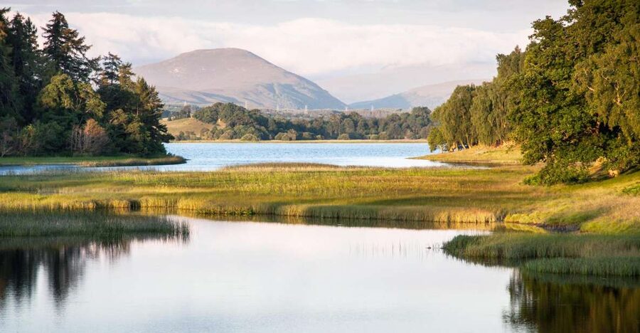 From Inverness: Cairngorms National Park and Whisky Tour - Key points at a glance
