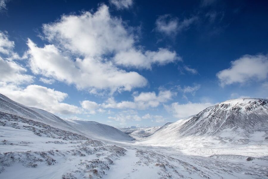 From Inverness: Cairngorms National Park and Whisky Tour - Why this Cairngorms tour works as a full day from Inverness