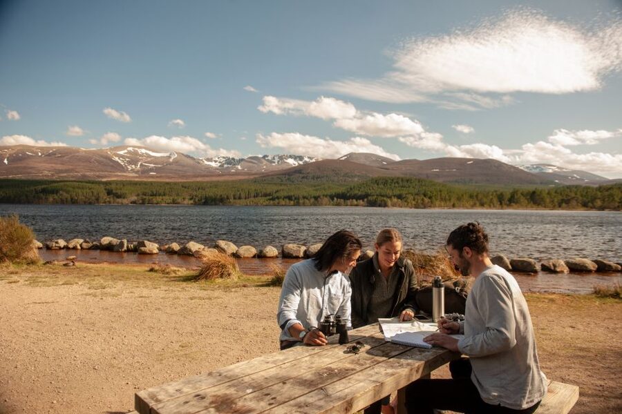 From Inverness: Cairngorms National Park and Whisky Tour - Crossing Dava Moor toward the Cairngorms