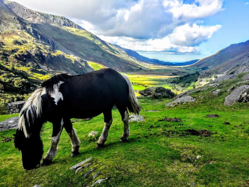 From Liverpool: North Wales Adventure Sightseeing Day Trip - Who will enjoy this North Wales day trip