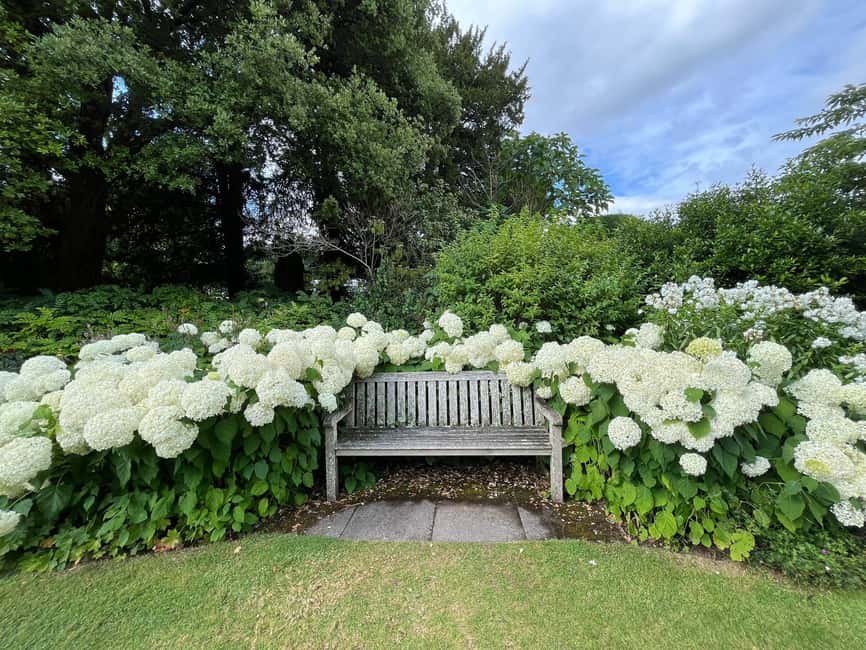 From London: Day Trip to Downton Abbey, Oxford and Bampton - Should you book this day trip?