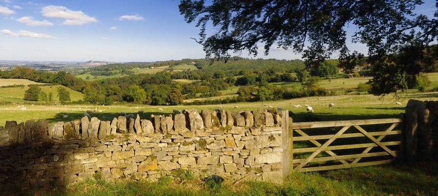 From London: Full-Day Cotswolds Small-Group Tour - Practical advice before you book