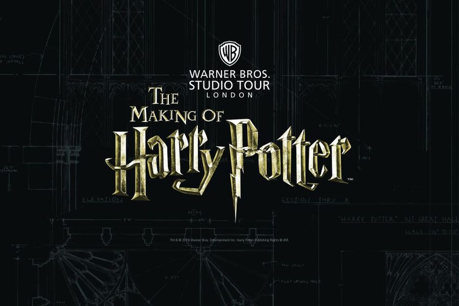 From London: Harry Potter Family Package with Transfers - The Great Hall and the most famous sets