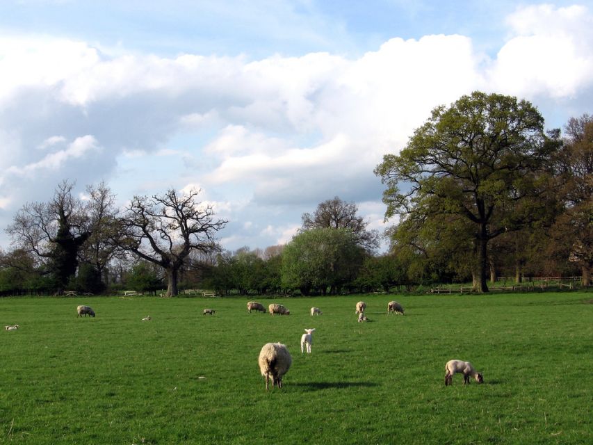 From London: Oxford, Stratford-upon-Avon & Cotswolds Trip - Who should choose this itinerary
