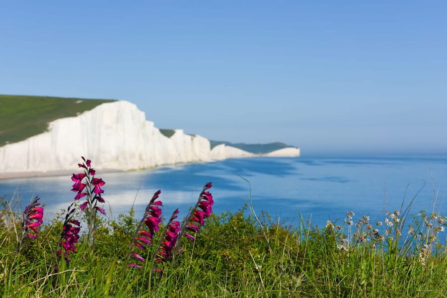 From London: Seven Sisters and Brighton Full-Day Tour - Why the Seven Sisters make this day worthwhile