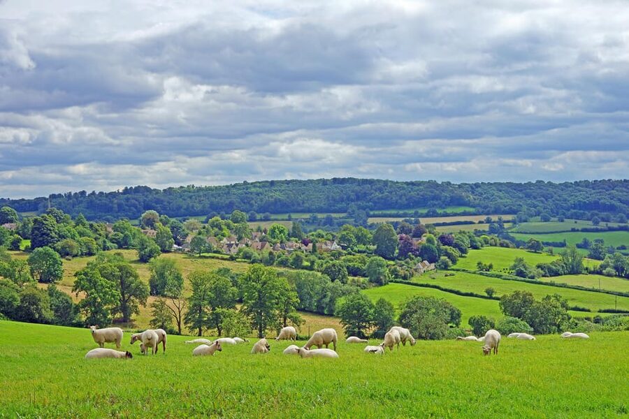 From London: Small Group Stonehenge, Bath & Cotswolds Tour - Who should book this day trip