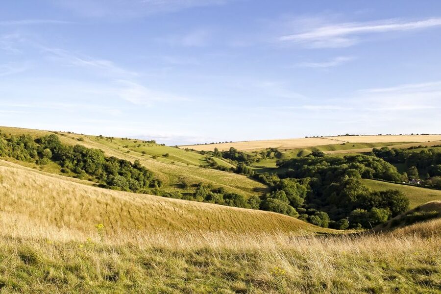From London: Stonehenge and Bath Day Trip with Ticket - Should you book it?