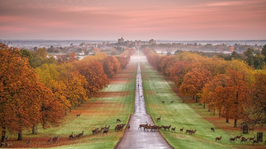 From London: Stonehenge, Windsor and Salisbury Guided Tour - Price, admissions, and what to bring