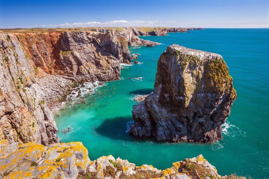From London: Wales 5-Day Group Tour - Life on the 16-seat mini-coach