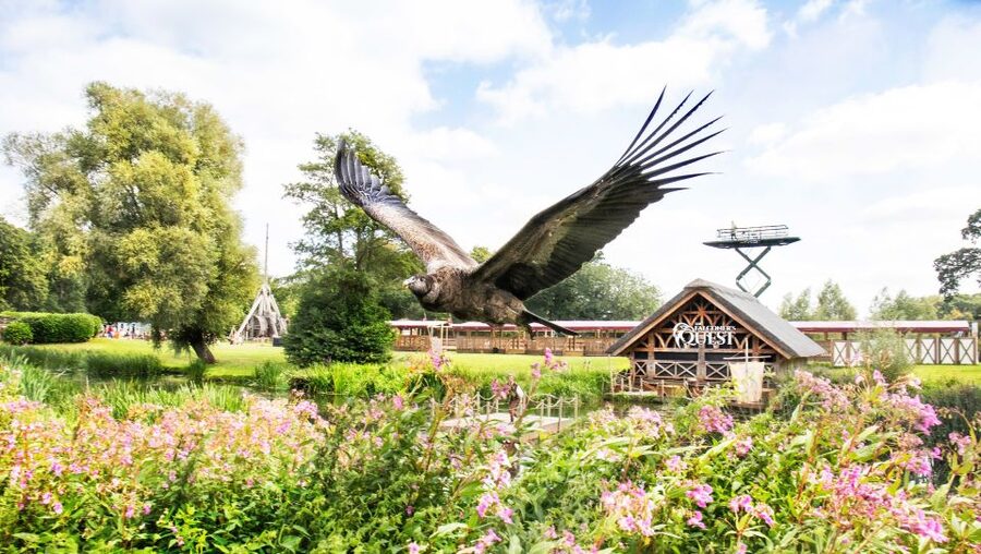 From London: Warwick Castle Day Trip by Rail - Gardens, views, and outdoor space