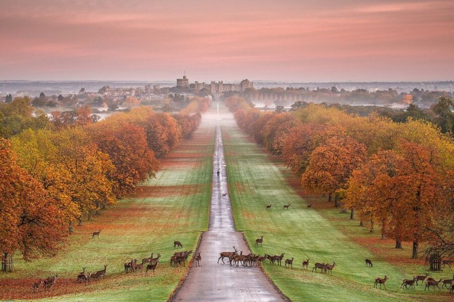 From London: Windsor Castle Afternoon Sightseeing Tour - St. George’s Chapel and the royal connections