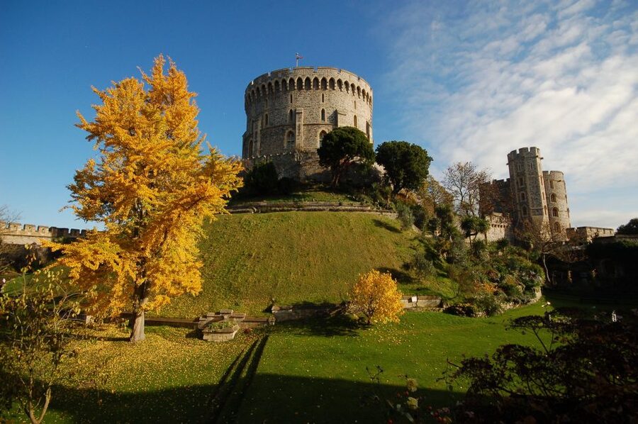 From London: Windsor, Stonehenge, & Salisbury Cathedral Trip - Practical tips for a smoother day