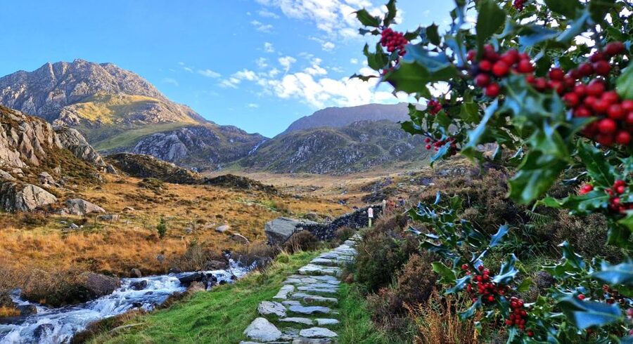 From Manchester: North Wales and Caernarfon Castle Day Trip - Betws-y-Coed: A Short Village Visit