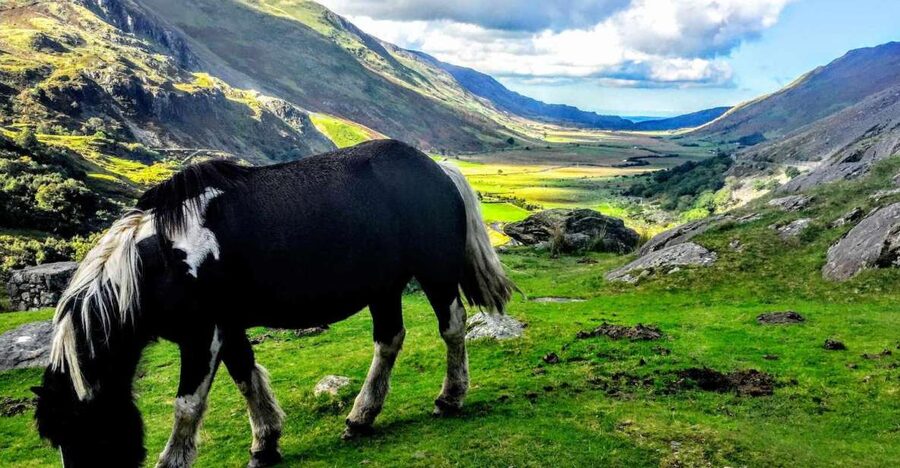 From Manchester: North Wales Sightseeing Adventure Day Trip - How much sightseeing fits into nine hours