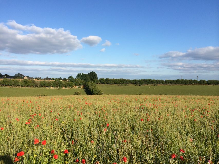 From Oxford: Cotswolds Towns and Villages Small Group Tour - What the $114 price gets you