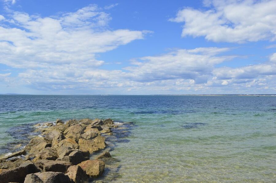From Portsmouth: Isle of Wight Day Tour by Bus and Ferry - Timing, walking, and comfort