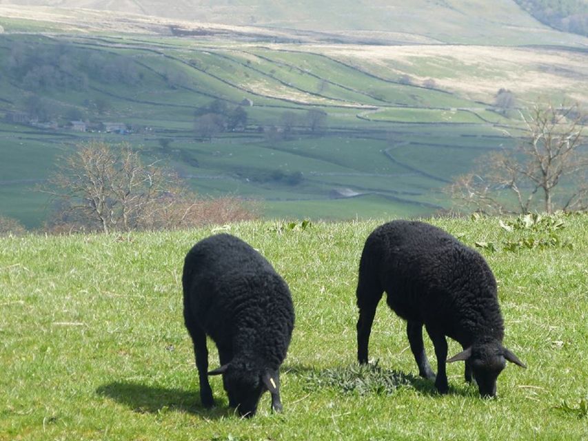 From York: Full-Day Yorkshire Dales Tour - Hawes, cheese, museums, and free time