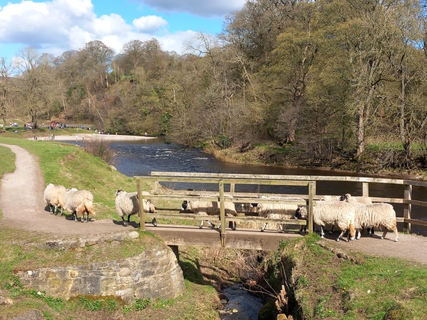 From York: Herriot and Yorkshire Dales Day Trip - From York Minster to Herriot Country