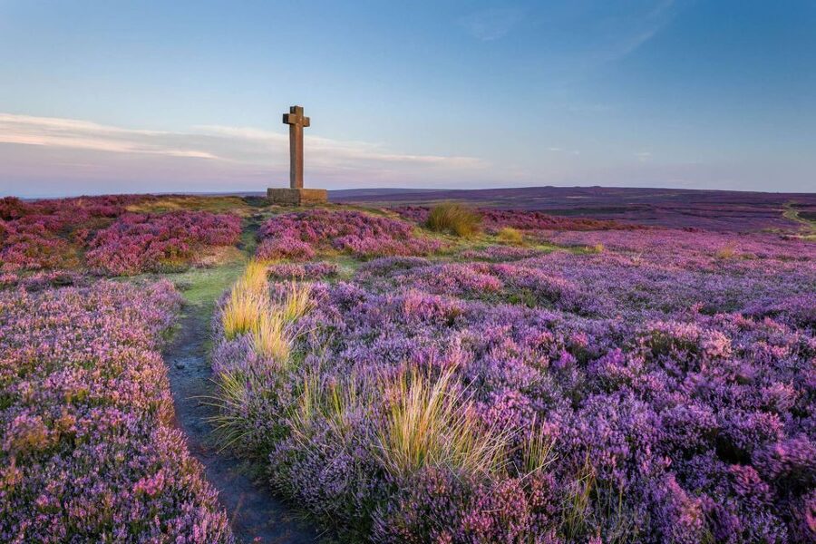 From York: Moors, Whitby, and the Yorkshire Steam Railway - Is $79 good value?