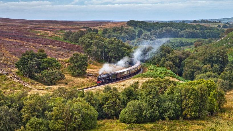From York: Moors, Whitby, and the Yorkshire Steam Railway - Choosing between Whitby and the steam railway