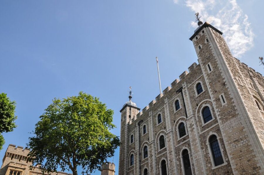 Full-Day London Experience: Tower, St. Pauls, Cruise & Guard - What the $139 Price Really Buys