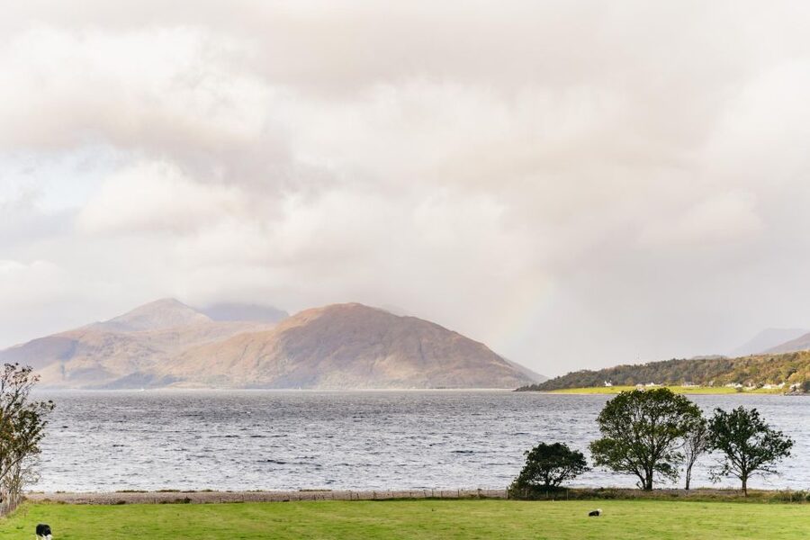 Glasgow: Loch Ness, Glencoe and Highlands Tour with Cruise - What the Mercedes mini-coach is really like