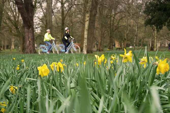 Guided Cycle Tours of Cardiff - The wetlands route to Cardiff Bay