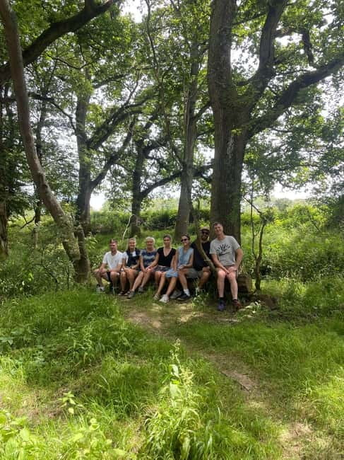 Guided Nature Tour: Pilgrims Way & Bigbury Fort - A quiet route through Blean Woods