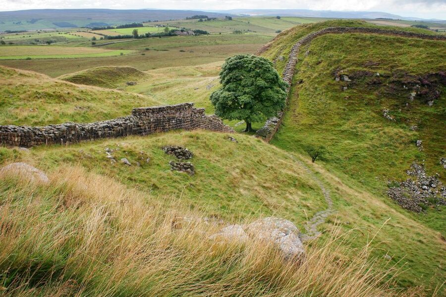 Hadrian's Wall: 4.5-Hour Guided Tour - A guide-led visit with a human touch