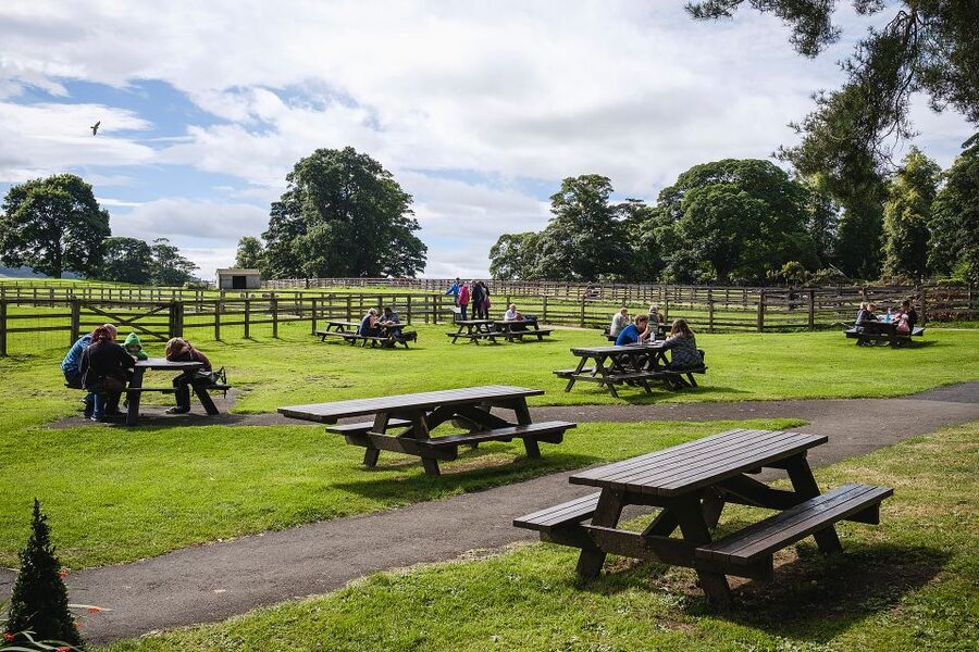 Hadrian's Wall: Chesters Roman Fort and Museum Entry Ticket - What the digital reconstructions add