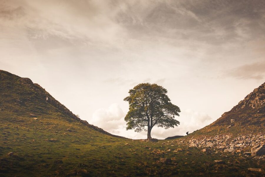 Hadrian's Wall & Roman Britain 1-Day Tour from Edinburgh - Vindolanda connects the monument to daily life