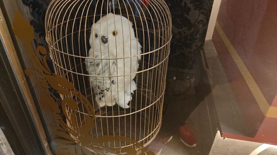 Harry Potter in London - Private Walking Tour - Starting beside the white lion at Westminster Bridge