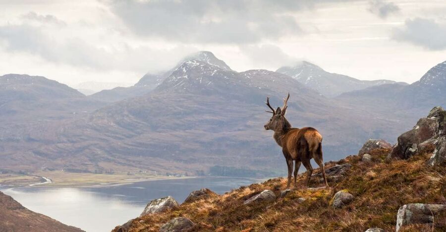 Inverness: Applecross, Loch Carron & Wild Highlands Day Tour - Key points to know before you book