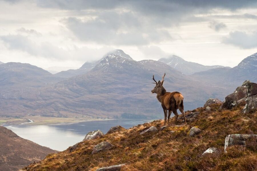 Inverness: Applecross, Loch Carron & Wild Highlands Day Tour - The return beside Loch Torridon