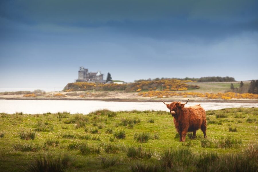 Isle of Mull and Iona 3-Day Small-Group Tour from Glasgow - Iona Abbey and the Quiet Power of the Second Day