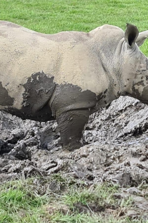 Knowsley: Safari Entry Tickets - A safari day that starts behind the wheel