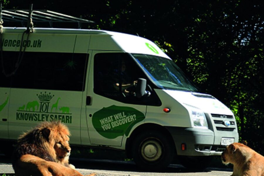 Knowsley: Safari Entry Tickets - Access, wheelchairs, and practical comfort