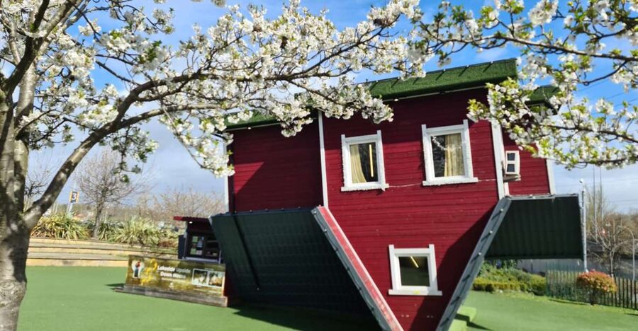 Lakeside: Upside Down House Entry Ticket - Inside the house: furniture above, floors below