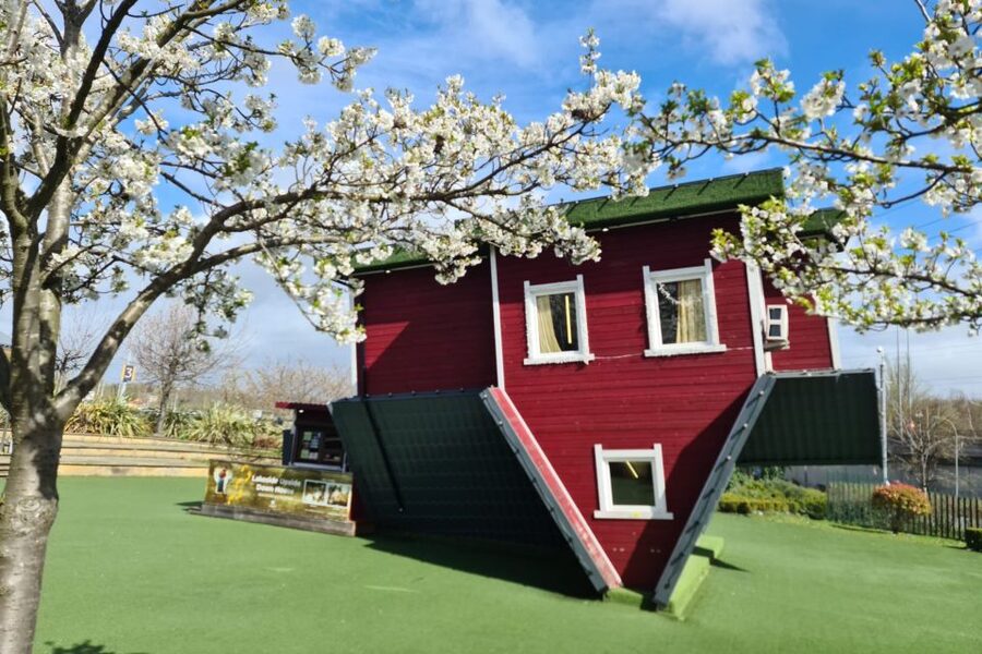 Lakeside: Upside Down House Entry Ticket - Why children and adults enjoy it together