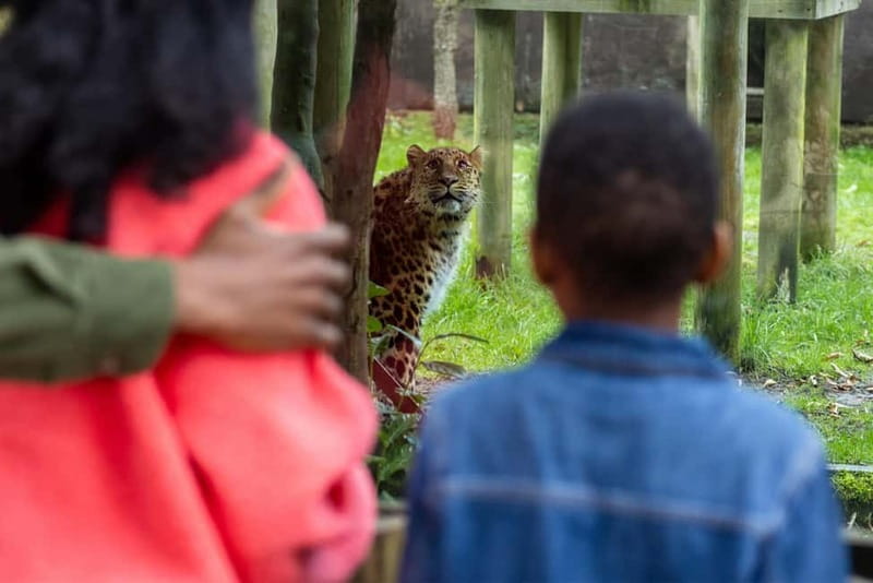 Leicestershire: Twycross Zoo Entry Ticket - Hundreds of animals, with conservation at the center