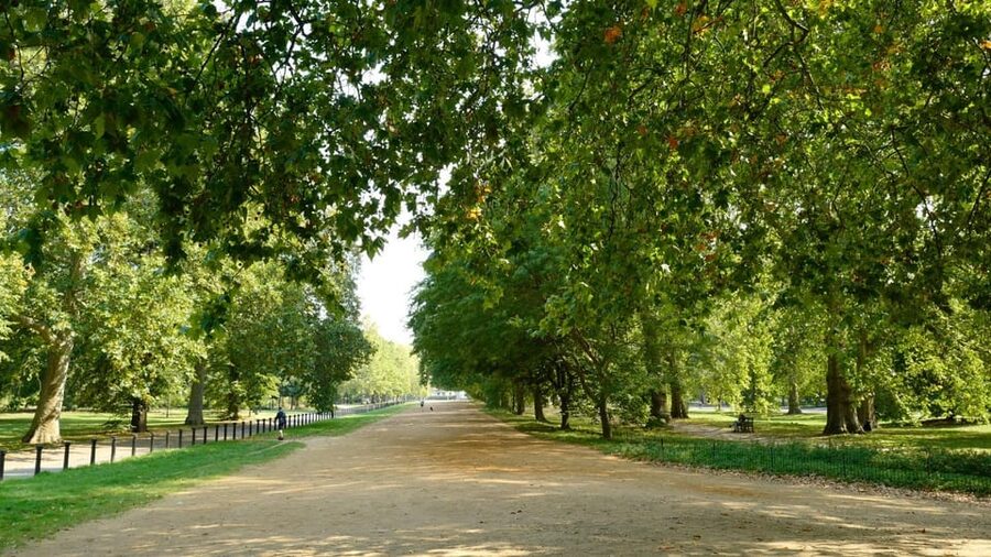 London: 24-Hour Hop-On Hop-Off Bus Pass - The Landmarks Tour from Marble Arch to the Tower