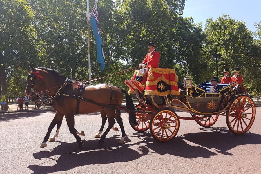 London: 30 London Sights Guided Walking Tour - Is $63 a fair price?