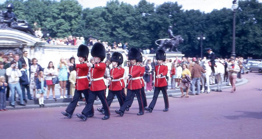 London: Buckingham Palace and Changing of the Guards Tour - Finding a Good View in a Large Crowd