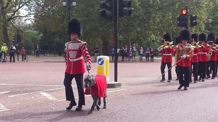 London: Changing of the Guard Walking Tour - Is $26 a fair price?