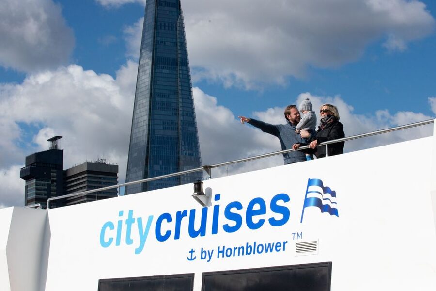 London: Christmas Day Sightseeing Cruise - Boarding at Westminster Millennium Pier