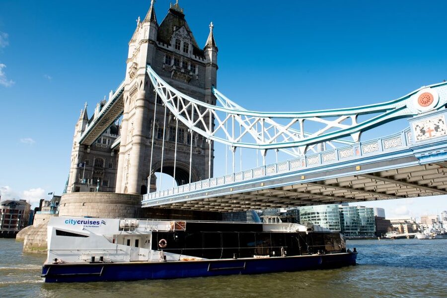 London: Christmas Day Sightseeing Cruise - Westminster, Big Ben, and the Houses of Parliament