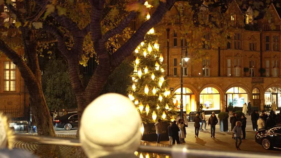 London: Christmas Lights Nighttime Bus Tour with Live Guide - Piccadilly Circus, Trafalgar Square, and the Strand